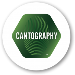 Cantography